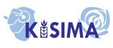 Kisima