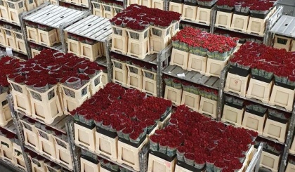 Fresco Flowers nieuws update Januari
